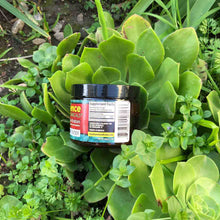 Load image into Gallery viewer, Experience Botanicals - Kratom Powder Tea Red Vein For Sale