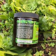 Load image into Gallery viewer, Experience Botanicals - Kratom Powder Tea Maeng Da Green Vein For Sale