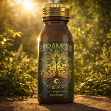 Load image into Gallery viewer, Supramood - Liquid Extract Kratom Shot Golden Glow Kava 2fl oz.