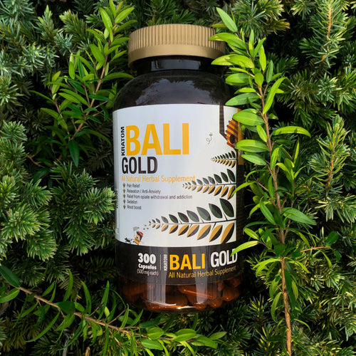 Bumble Bee - Bali Gold Kratom 300 Capsules