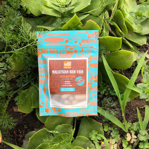 The Better Leaf - Malaysian Red Vein 35 Capsules