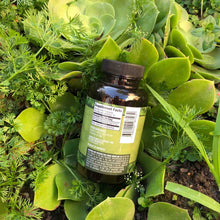 Load image into Gallery viewer, Experience Botanicals - Kratom Capsule Maeng Da Green Vein For Sale