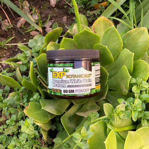 Experience Botanicals - Kratom Powder Tea White Vein For Sale