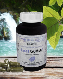 Leaf Buddi - Kratom Capsule White Borneo